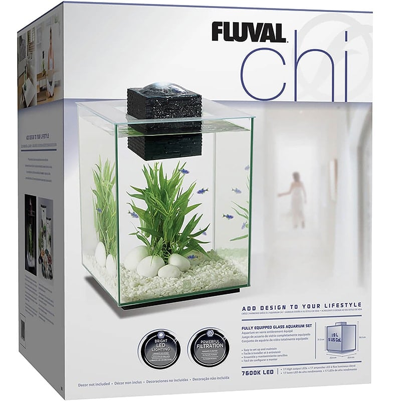 5 Gallon Fish Tank Aquarium Kit LED Light Rectangular Fish Tank