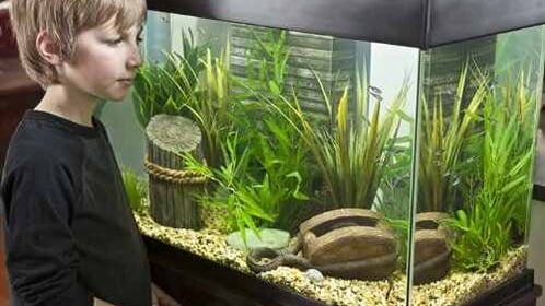 WARRANTY INCLUDED! 60 gallon GLASS oval round table aquarium fish tank setup