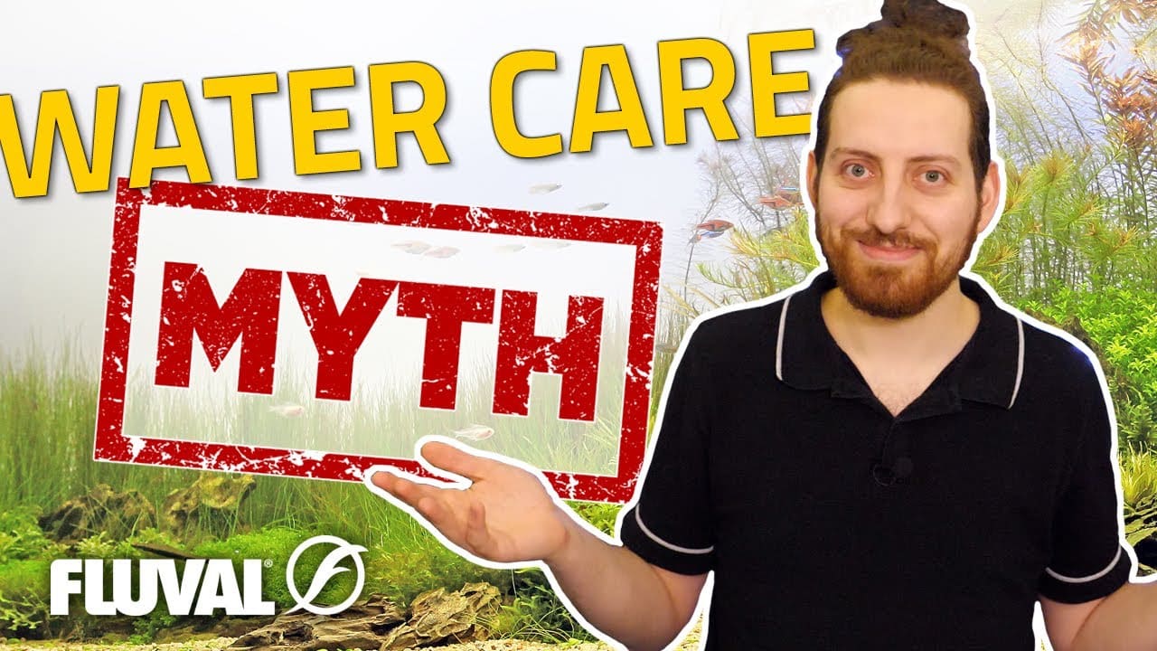 Common Water Care Myths DEBUNKED!