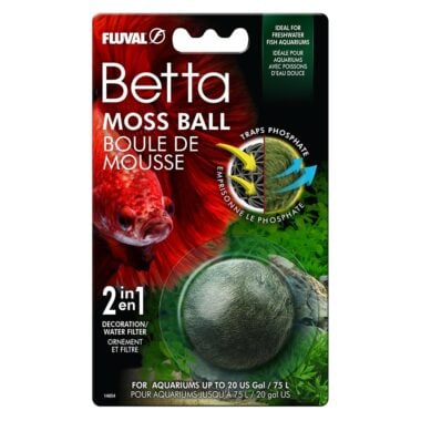 Betta Moss Ball is a 2-in-1 decorative piece and phosphate reducer