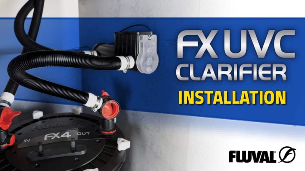 SETTING UP AN FX UVC CLARIFIER | Installation on Cabinet Wall