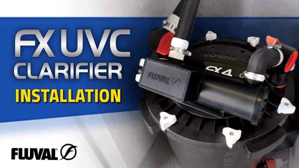 SETTING UP AN FX UVC CLARIFIER | Installation on FX Series Filter Cover