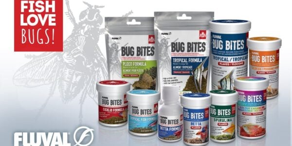 Ideal for all bottom feeders, Fluval Bug Bites Algae Crisps