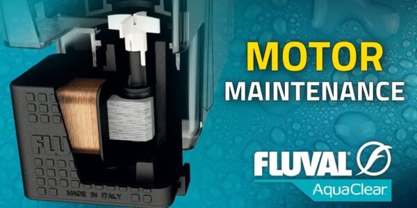Aquarium Filter Set – 4x Dreistufige Filtertanks Für AquaClear 70 | Ersatzfilter 40–70 Gallonen