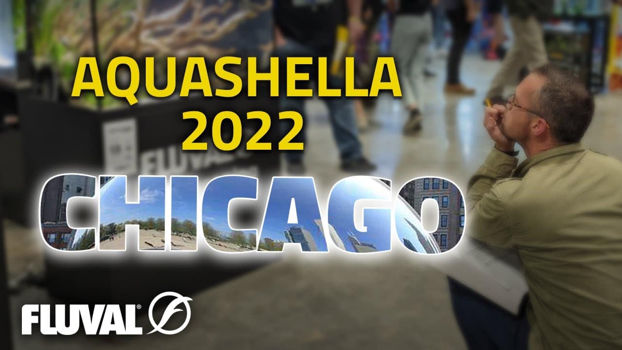 Aquashella Chicago 2022 AQUASCAPING HIGHLIGHTS Fluval Aquatics UK