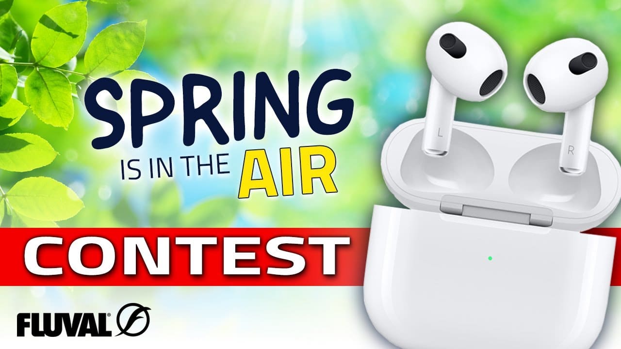 GIVEAWAY | SPRING IS IN THE AIR 2023