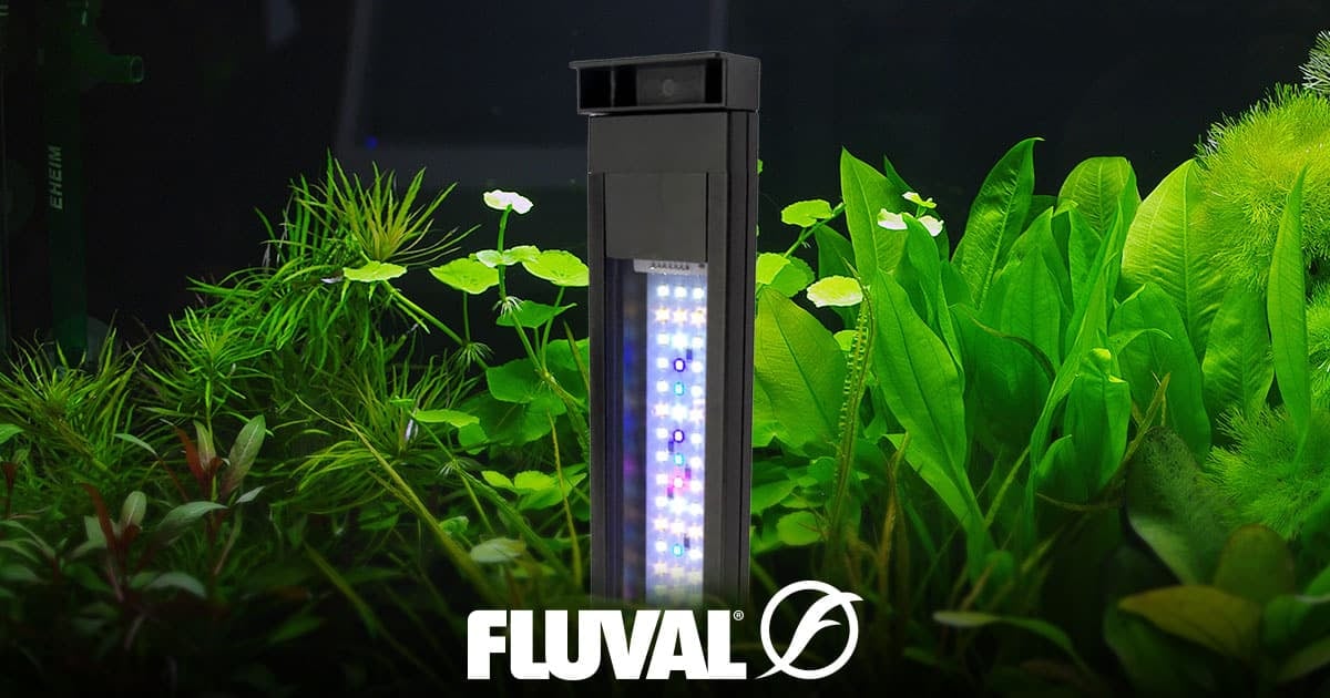 Plant 3.0 - Fluval USA