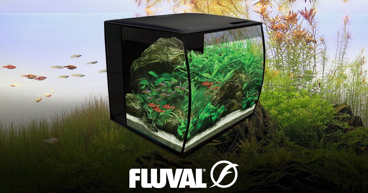 Fluval flex 15 gallon best sale