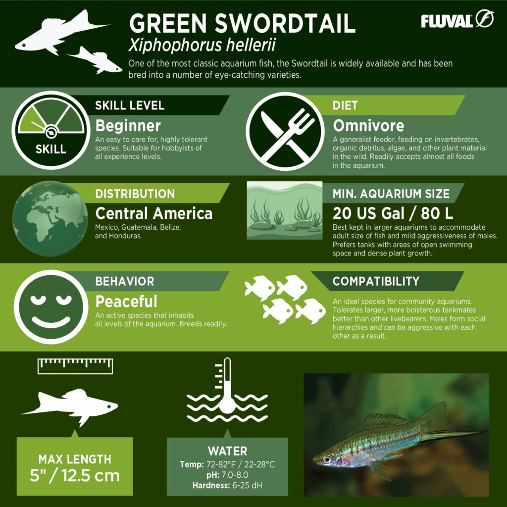 Green Swordtail PDF 