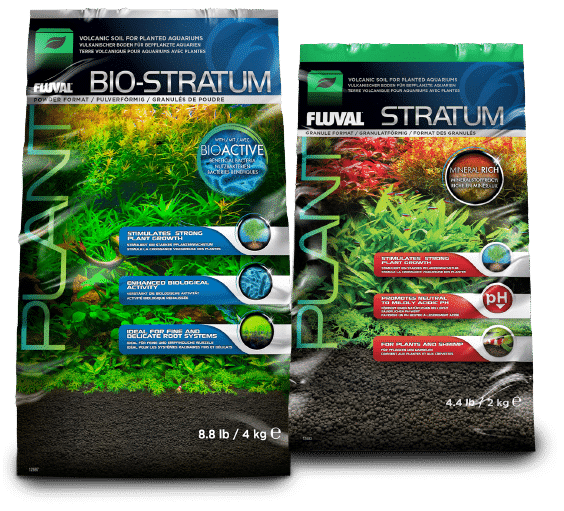 BioStratum