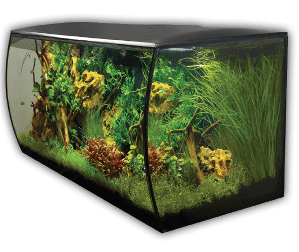 Flex Aquarium