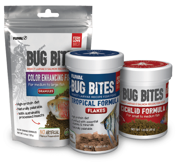 Bug Bites Nutrition Products