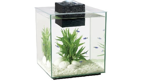 Betta Premium Aquarium Kit, 2.6 US Gal / 10 L - Fluval USA