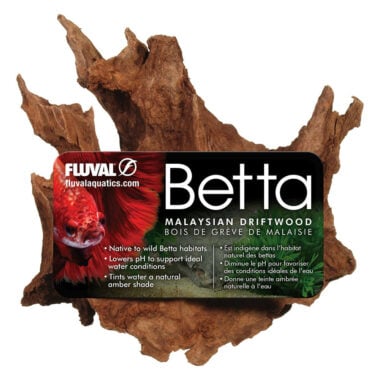 Native to wild Betta habitats, Malaysian Driftwood helps create a natural looking aquarium and establishes beneficial, amber-tinted water conditions through the release of tannins and other compounds that help promote overall fish health.