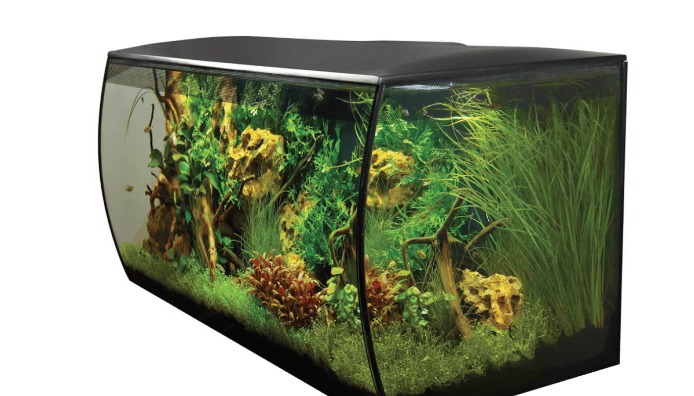 Flex Aquarium Kit, 32.5 - L 123 Fluval Gal UK Aquatics US 