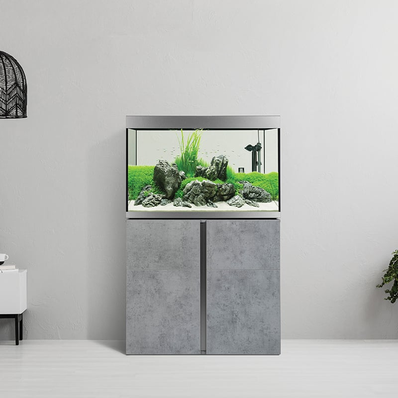 fluval edge 72 liter