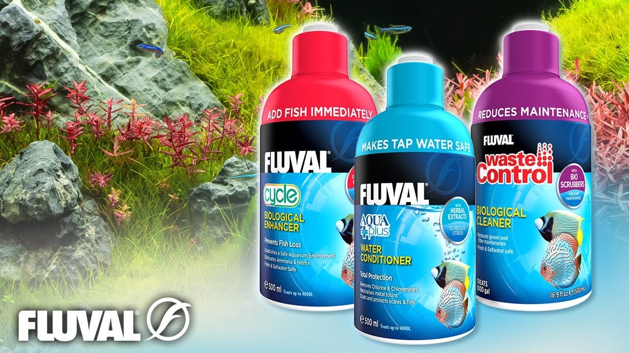 A WELL BALANCED TEAM | Fluval Water Care